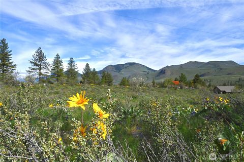 Photo of 0 Green Meadows, Winthrop, WA 98862 (MLS # 2549233)