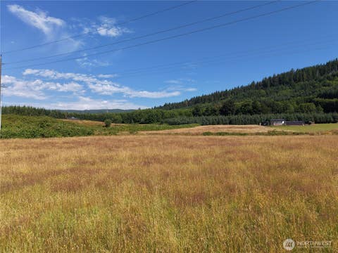 Photo of 134 Dancing Elk Road, Beaver, WA 98305 (MLS # 2558167)