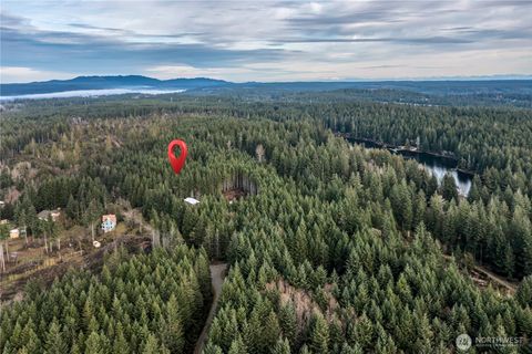 51 E Carols Place Belfair WA 98528