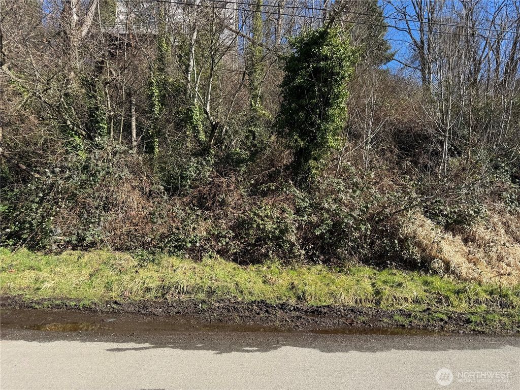 Photo of 1906 28th Avenue S, Seattle, WA 98144 (MLS # 2331845)