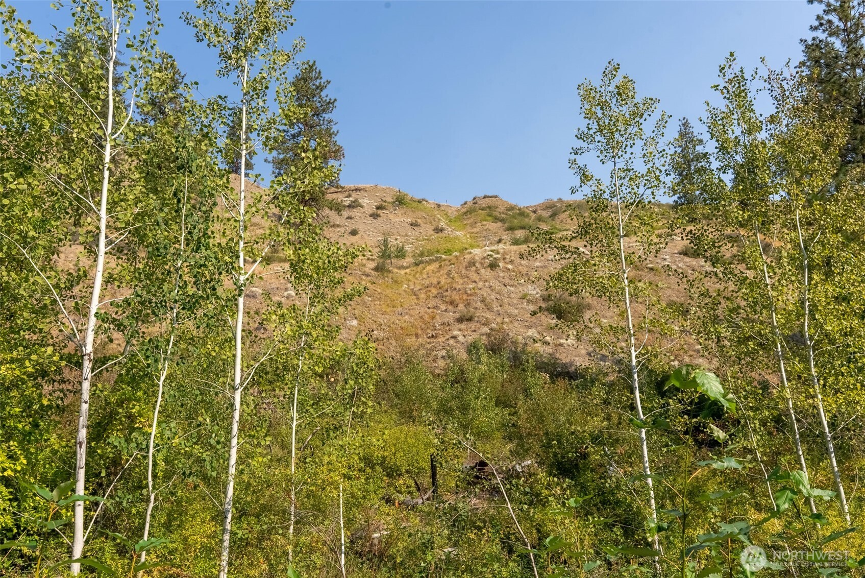 88 Gold Creek Road
