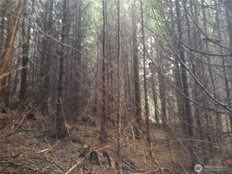 0 Ozette Lake Road