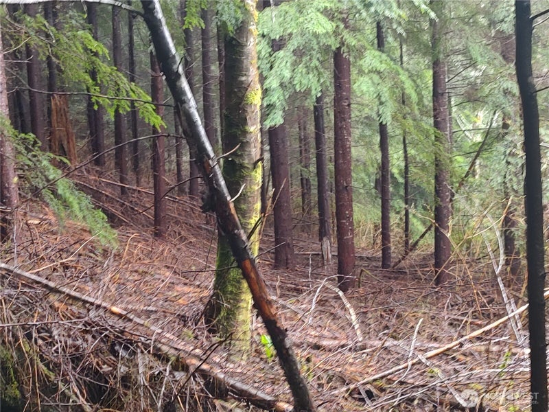 0 Ozette Lake Road