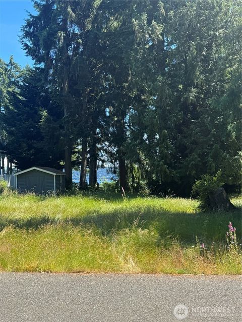 Photo of 10409 108th Street, Anderson Island, WA 98303 (MLS # 2552128)