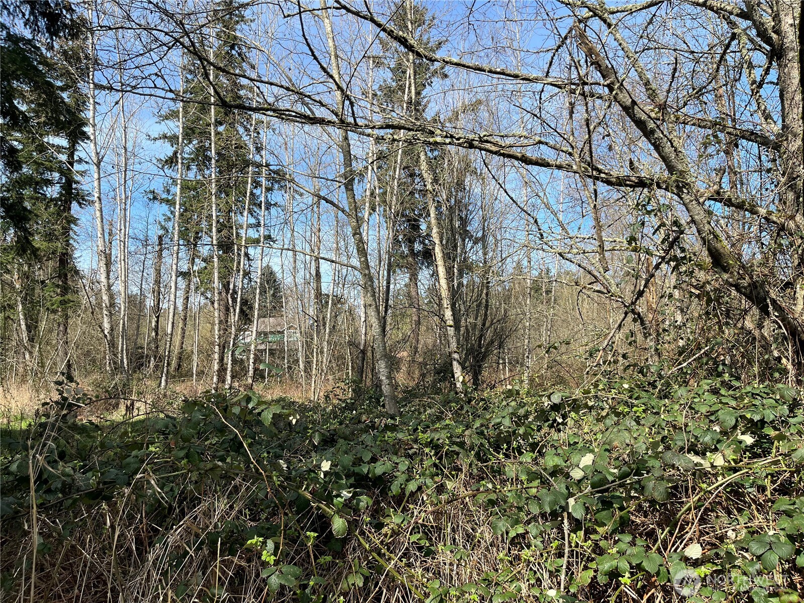 0 46th Avenue S