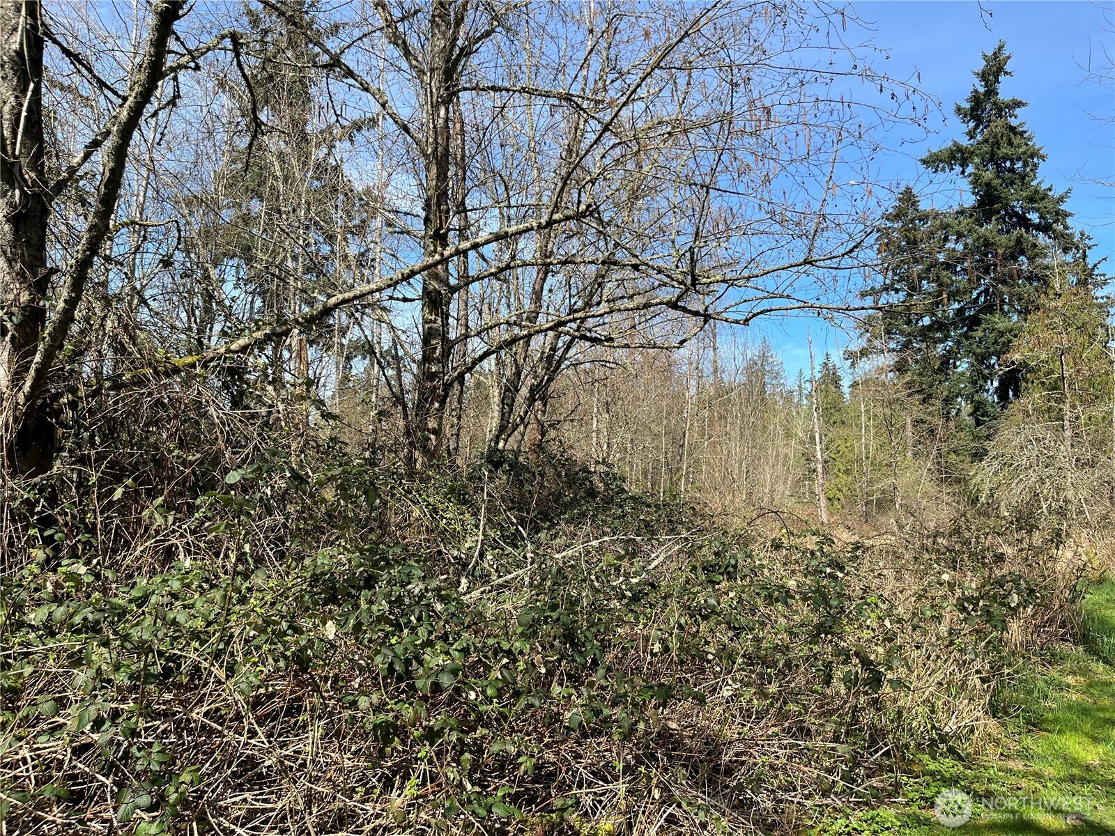 0 46th Avenue S