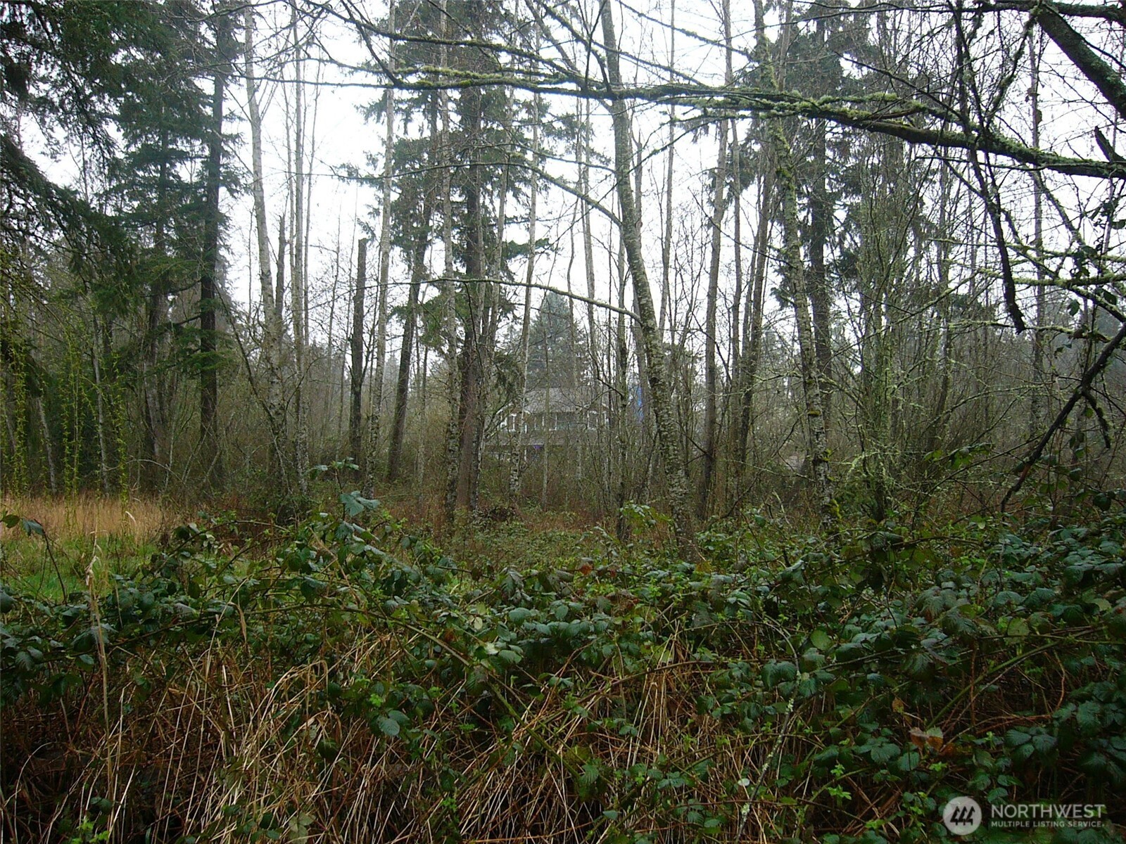 0 46th Avenue S