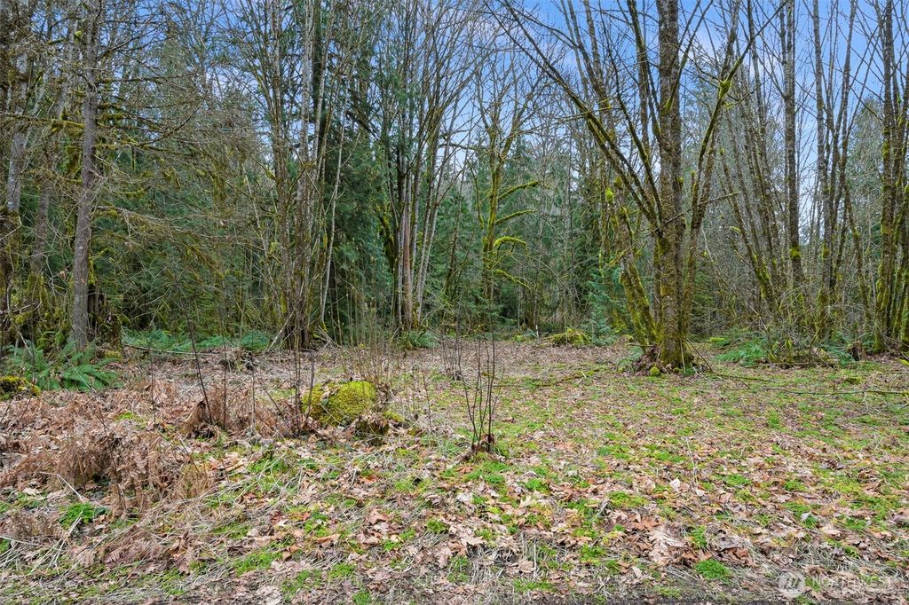 Photo of 7738 Maple Drive, Maple Falls, WA 98266 (MLS # 2480552)