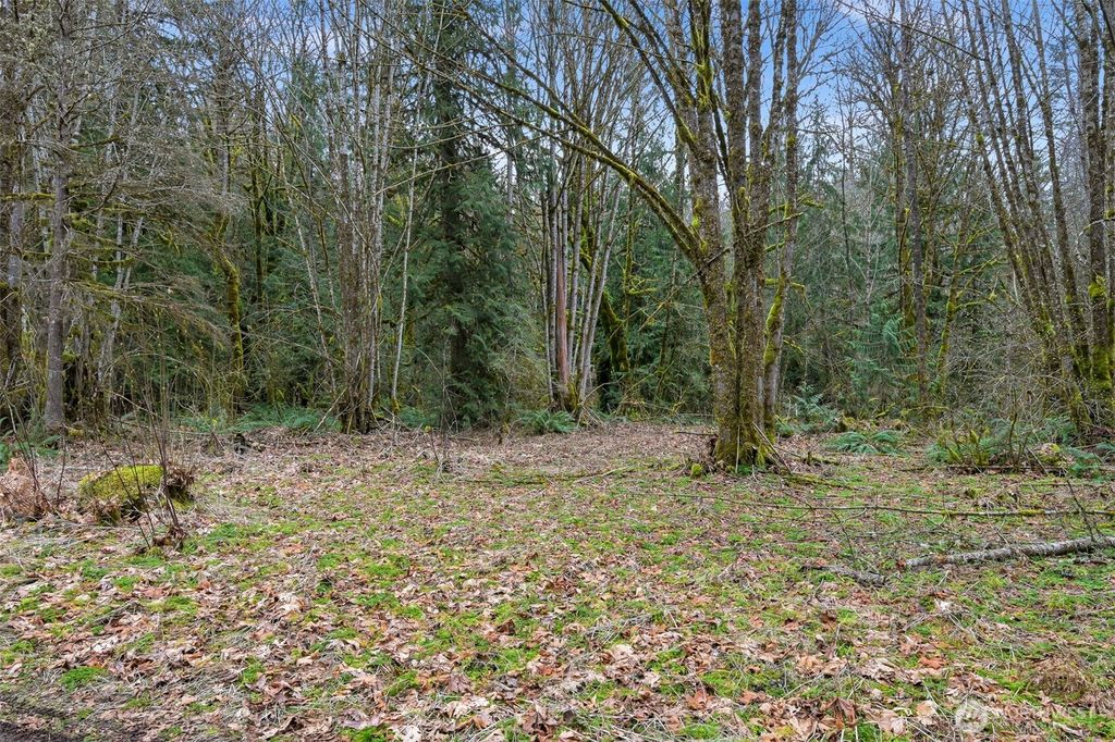 Photo of 7738 Maple Drive, Maple Falls, WA 98266 (MLS # 2480552)