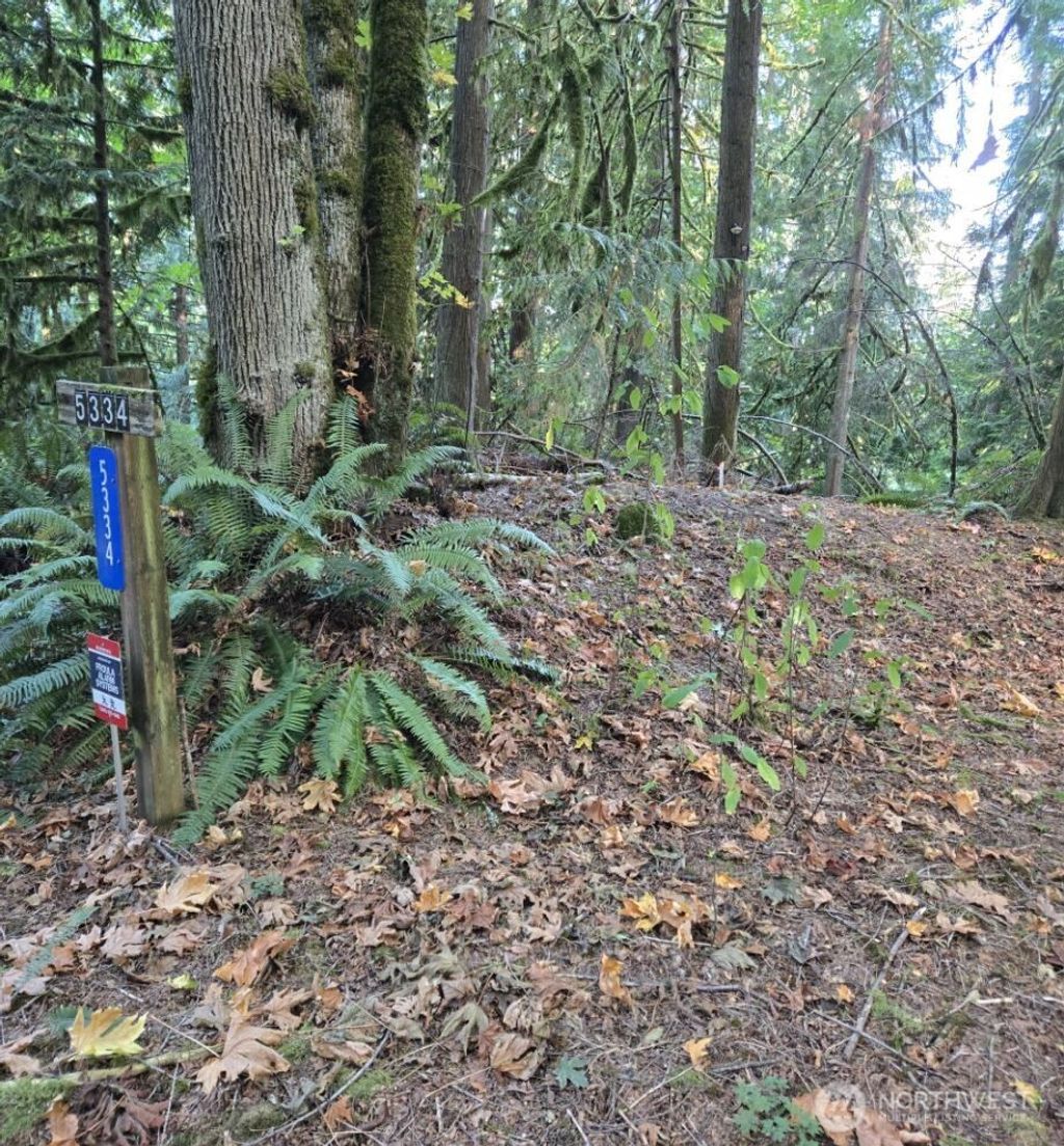 Photo of 5320 279th Avenue NE, Redmond, WA 98053 (MLS # 2442336)