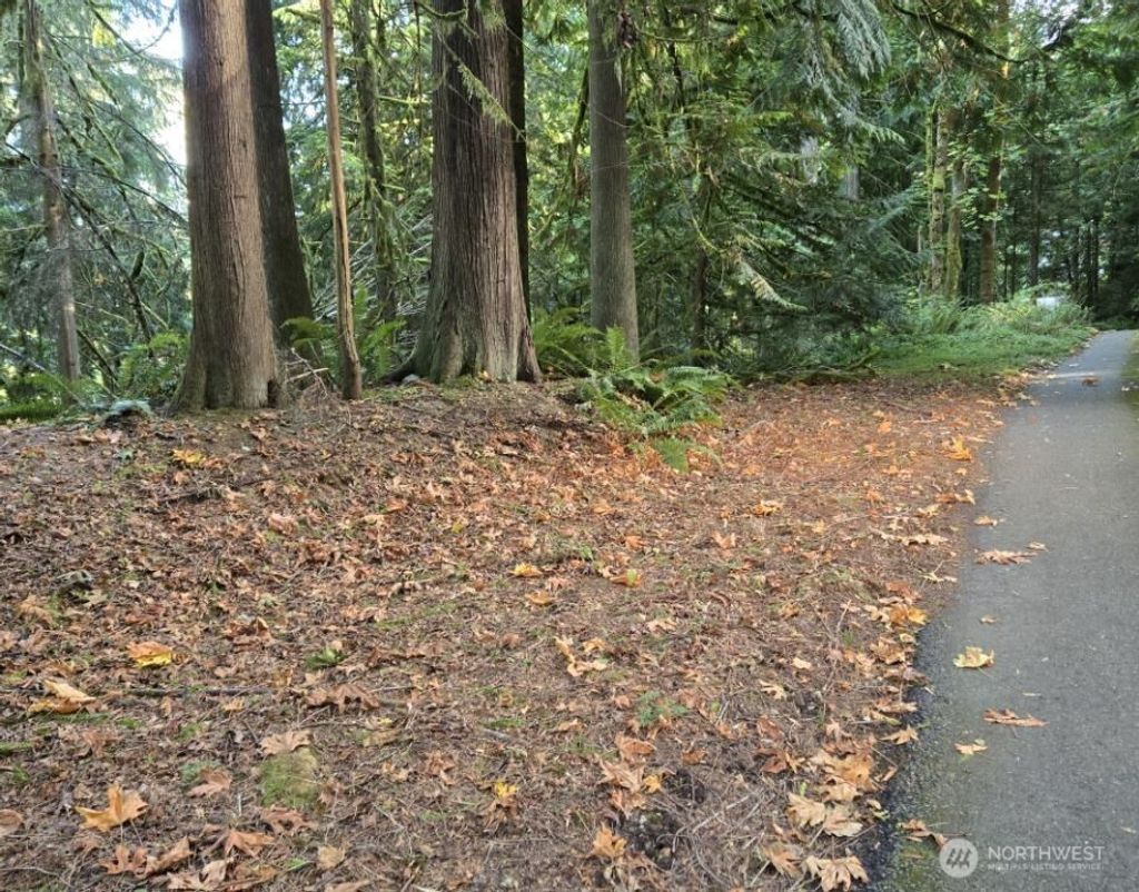 Photo of 5320 279th Avenue NE, Redmond, WA 98053 (MLS # 2442336)