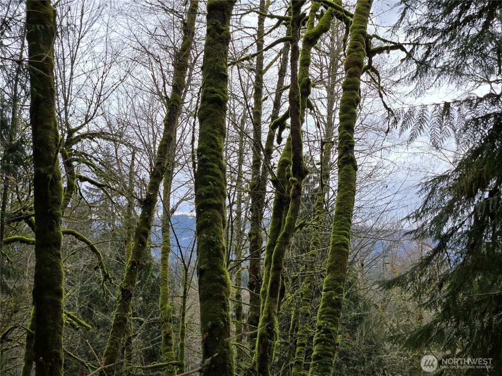 Photo of 183 xx 123rd (Southern Lot) Avenue NE, Arlington, WA 98223 (MLS # 2489853)