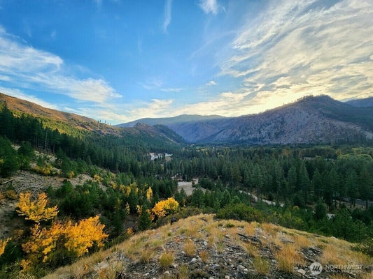 ENTIAT RIVER RD, ENTIAT, WA 98822 - Image 209ca98bdc3b614e1631d09de561d1da/2683551332