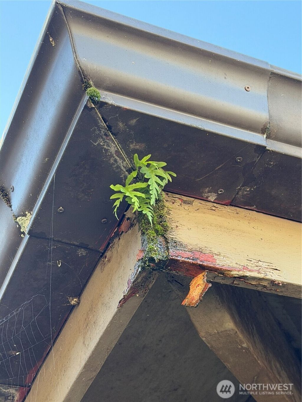 Photo of 5300 Beach Drive Dr SW, Seattle, WA 98136 (MLS # 2476492)