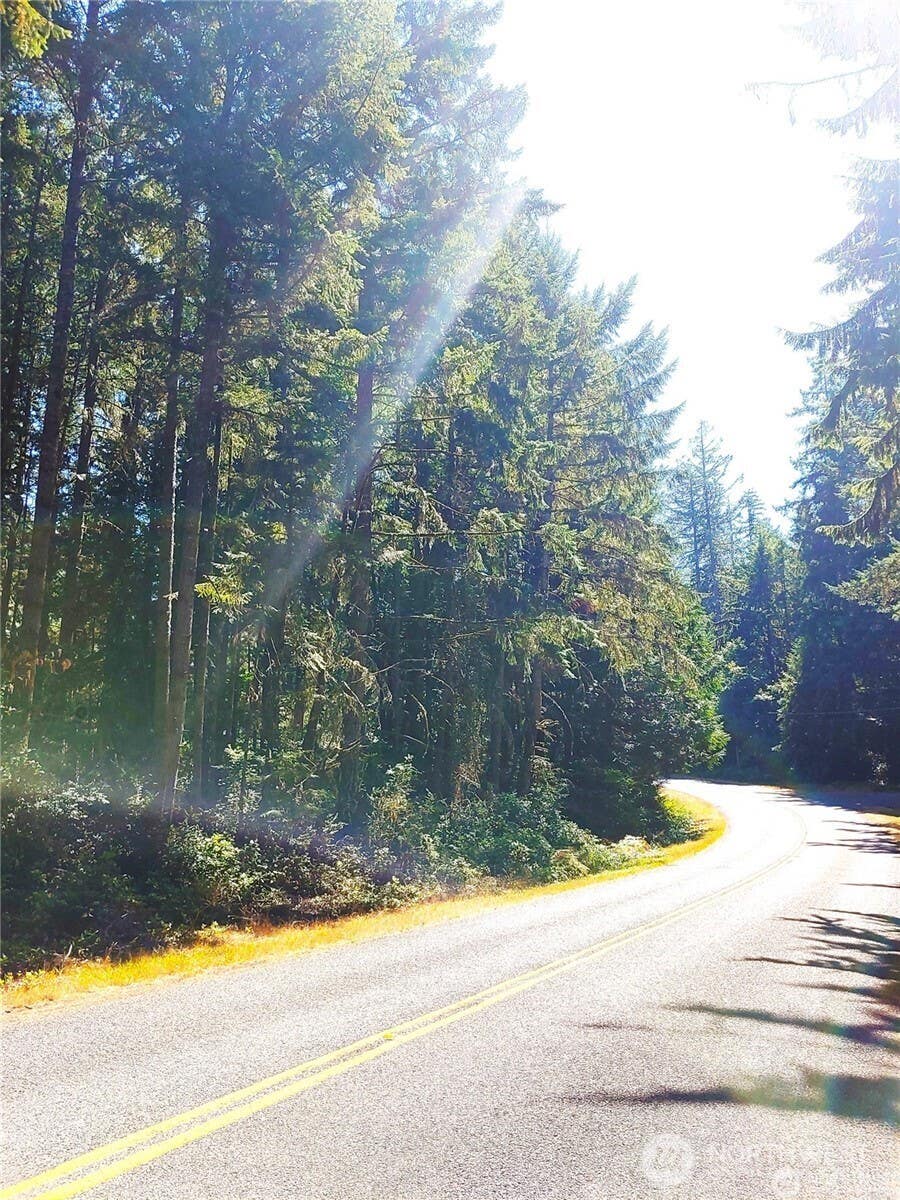 Photo of 11511 Lake Josephine Boulevard, Anderson Island, WA 98303 (MLS # 2563594)