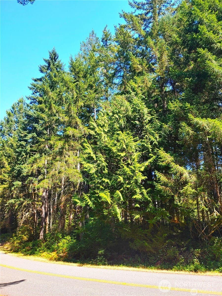Photo of 11511 Lake Josephine Boulevard, Anderson Island, WA 98303 (MLS # 2563594)