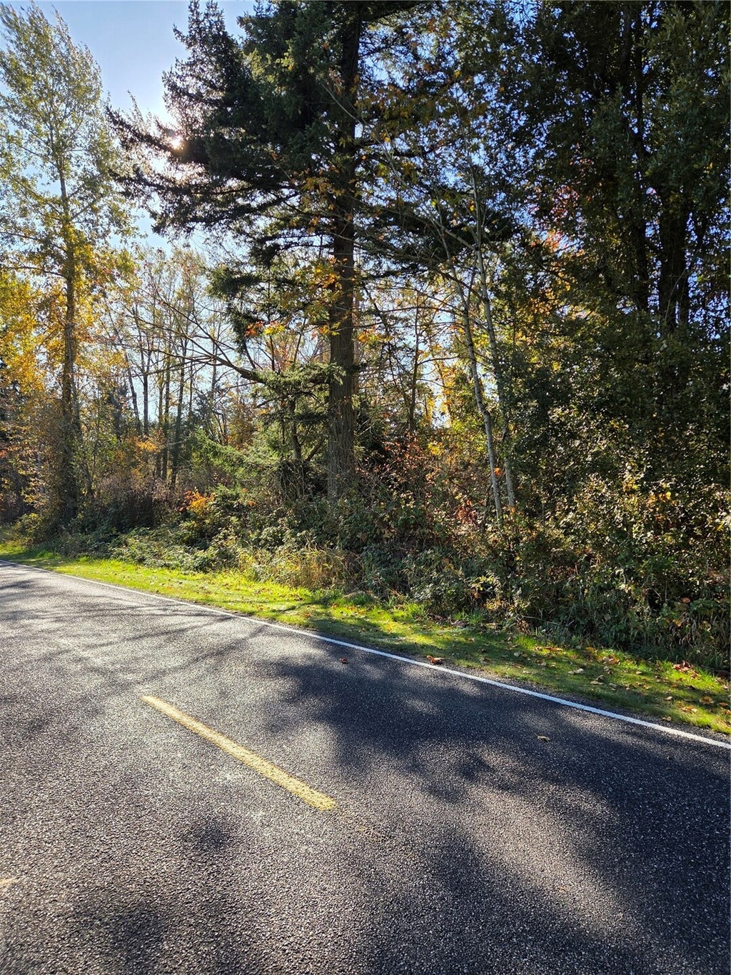 Photo of 95 xx Harvey Road, Blaine, WA 98230 (MLS # 2596396)