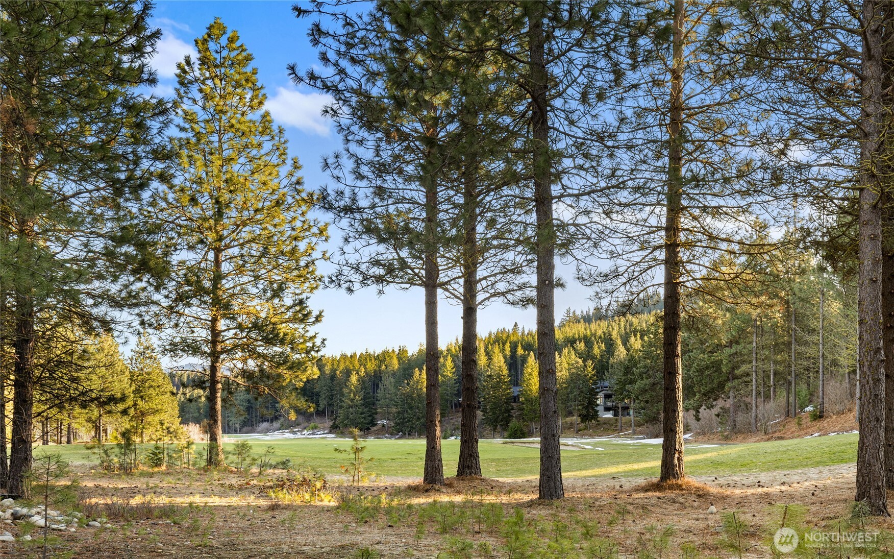 1150 Southern Star Lane