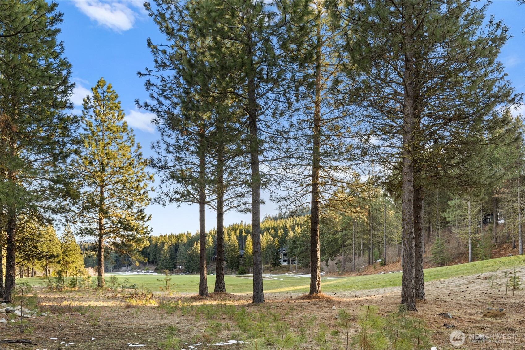 1150 Southern Star Lane