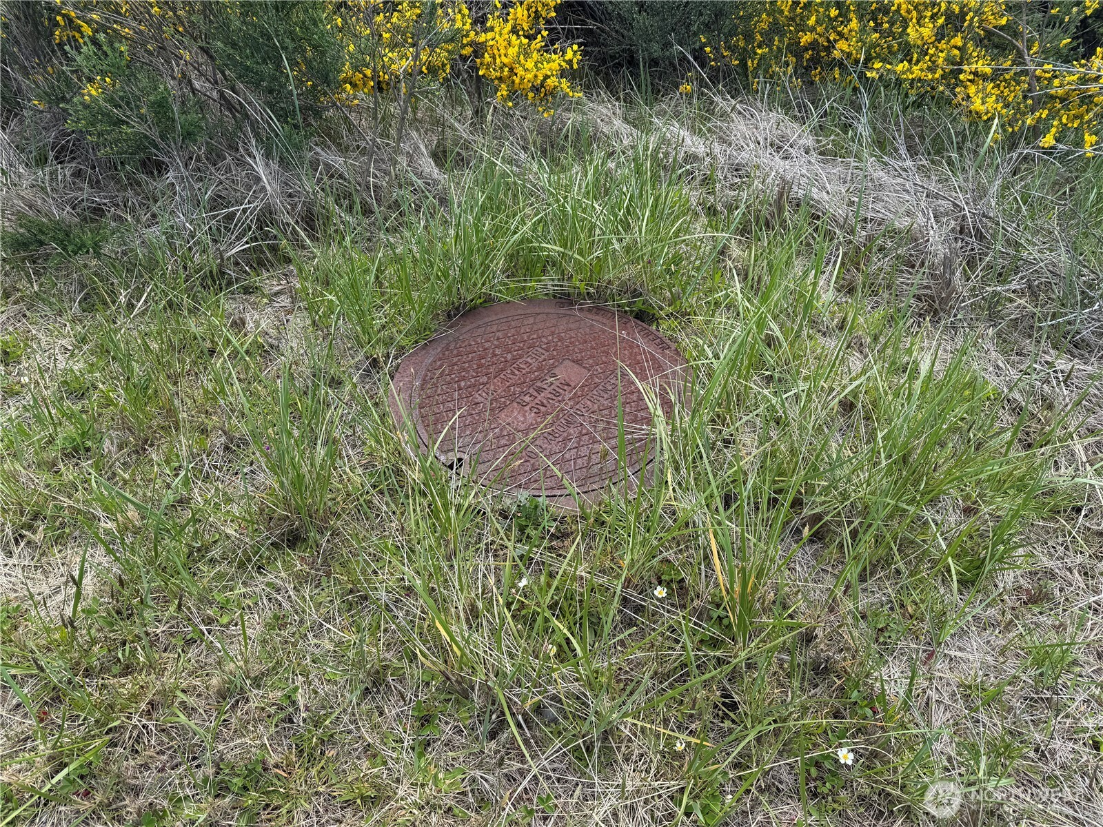 421 S Portal Loop SW