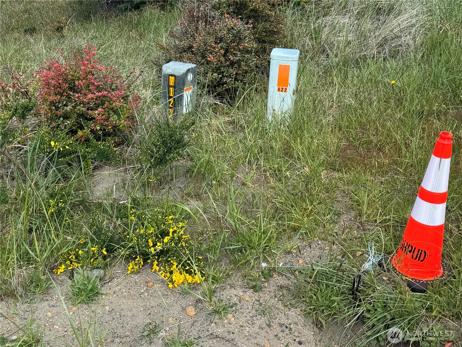 421 S Portal Loop SW