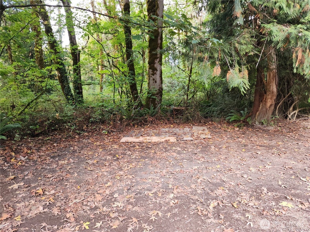 Photo of 41458 Cape Horn Drive #WA, Concrete, WA 98237 (MLS # 2588241)