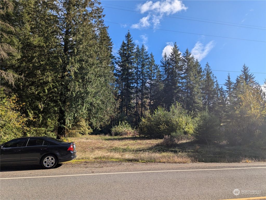 Photo of 46904 State Route 530, Darrington, WA 98241 (MLS # 2308329)
