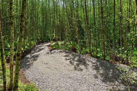 163 Owl Creek Lane Morton WA 98356