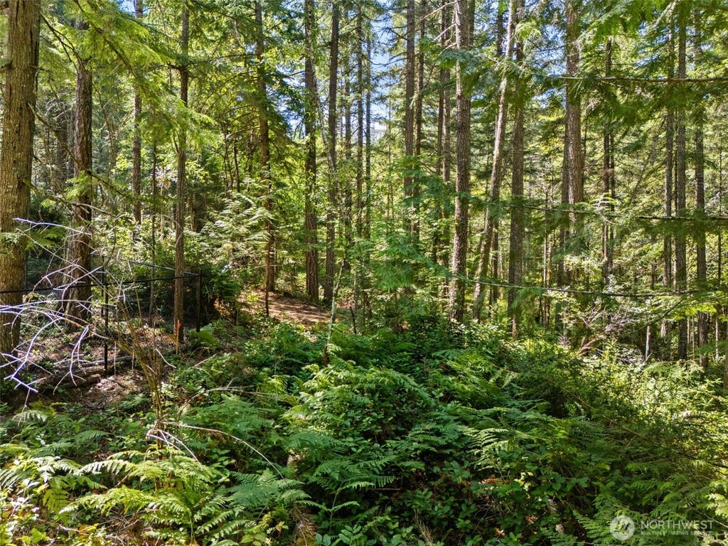 Photo of 0 SP1354 E Glenwood Drive, Union, WA 98592 (MLS # 2553968)