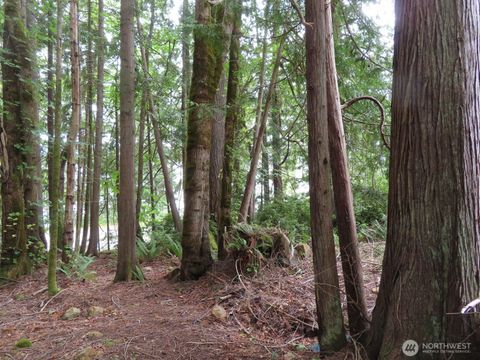 0 Tog Road Brinnon WA 98320