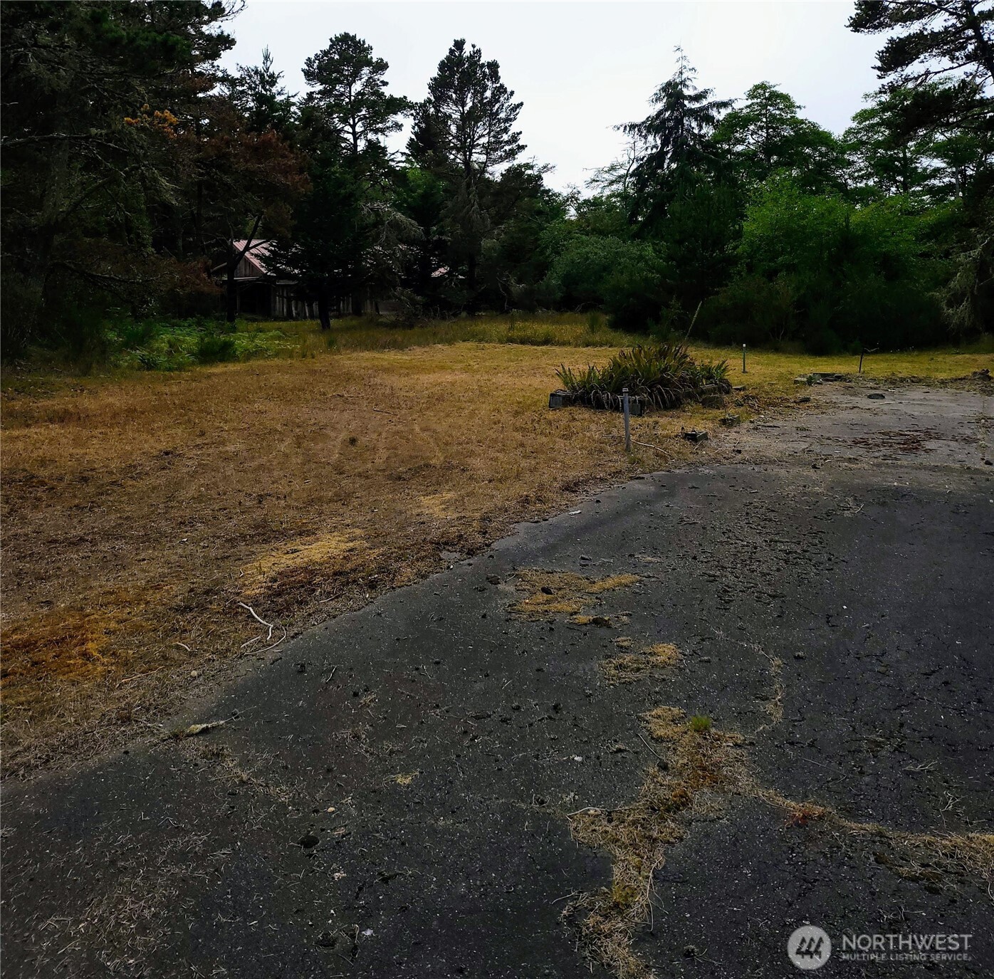 715 S Forrest Street