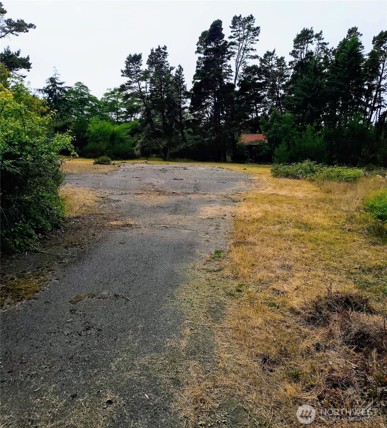 715 S Forrest Street