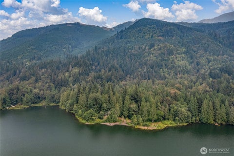 Photo of 9267 Upper Frost Creek Road, Maple Falls, WA 98266 (MLS # 2573680)