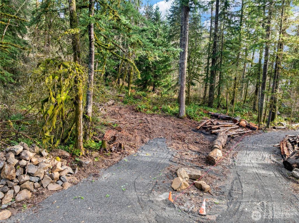 Photo of 55011 315th Avenue E, Ashford, WA 98304 (MLS # 2463390)