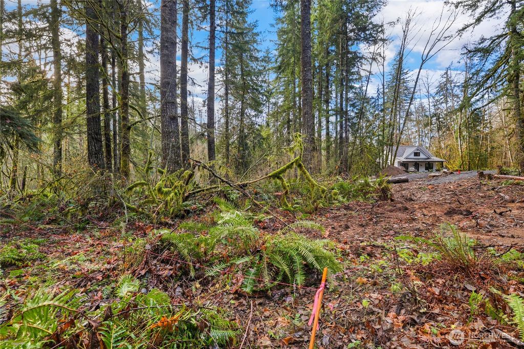 Photo of 55011 315th Avenue E, Ashford, WA 98304 (MLS # 2463390)