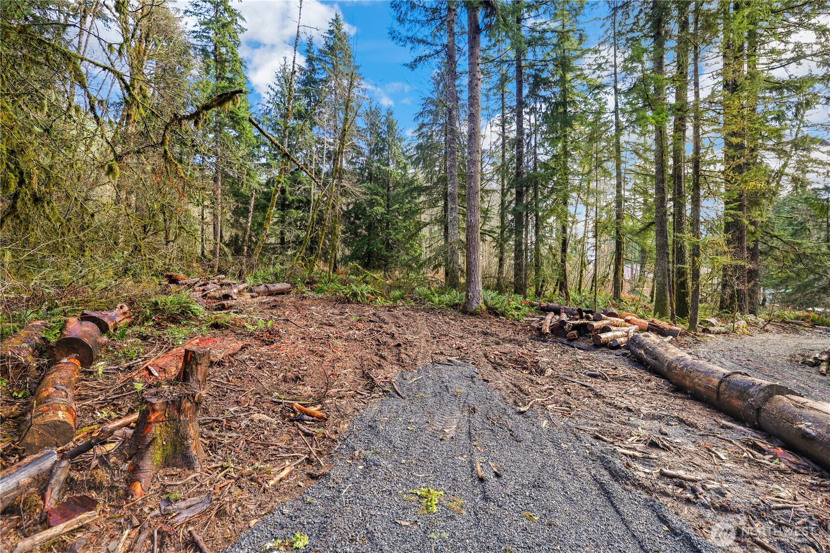 55011 315th Avenue E