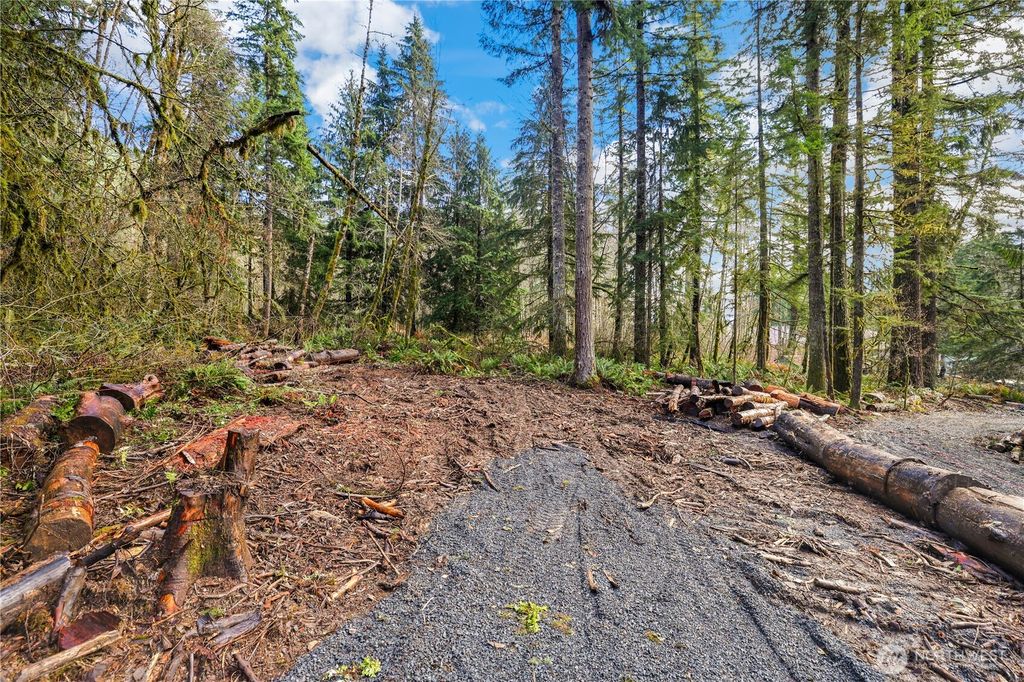 Photo of 55011 315th Avenue E, Ashford, WA 98304 (MLS # 2463390)