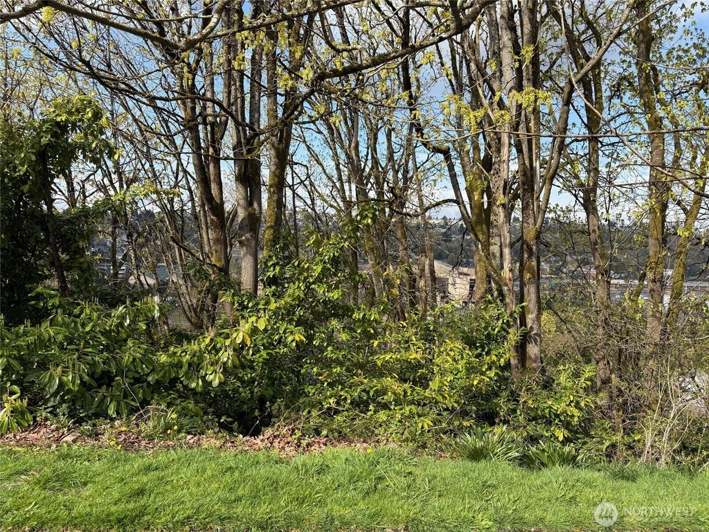 Photo of 38 XX 21st Avenue SW, Seattle, WA 98106 (MLS # 2355171)