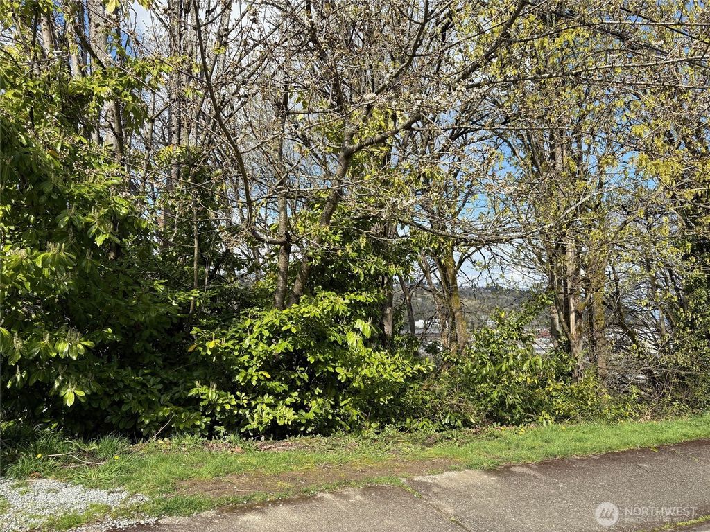 Photo of 38 XX 21st Avenue SW, Seattle, WA 98106 (MLS # 2355171)