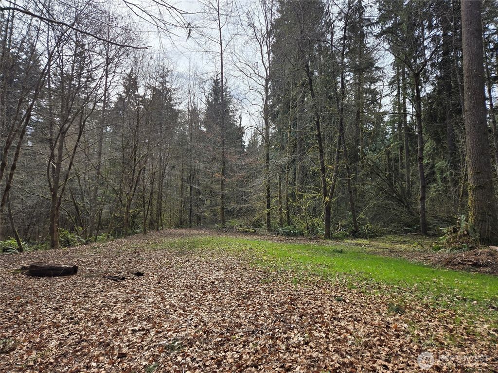 Photo of 197 xx 242nd Avenue NE, Woodinville, WA 98077 (MLS # 2500074)