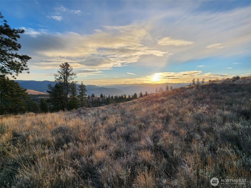 0 Blue Grouse (Div 5, Lot 42)