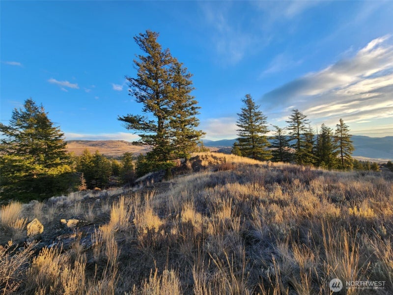 0 Blue Grouse (Div 5, Lot 42)