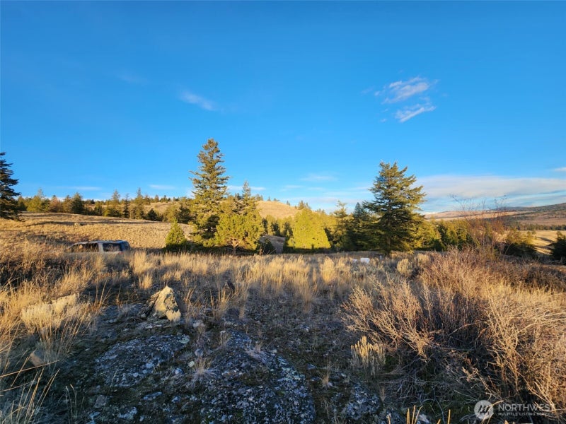 0 Blue Grouse (Div 5, Lot 42)