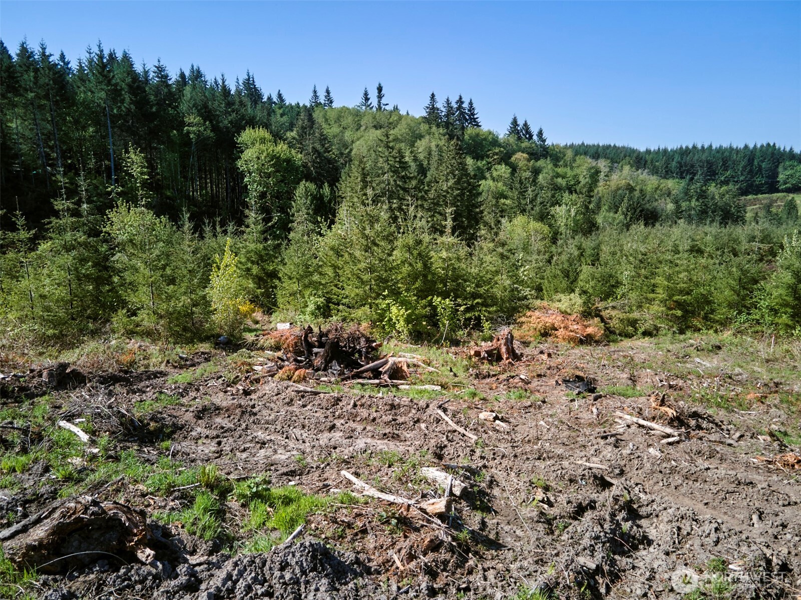 2 Bootjack Lane