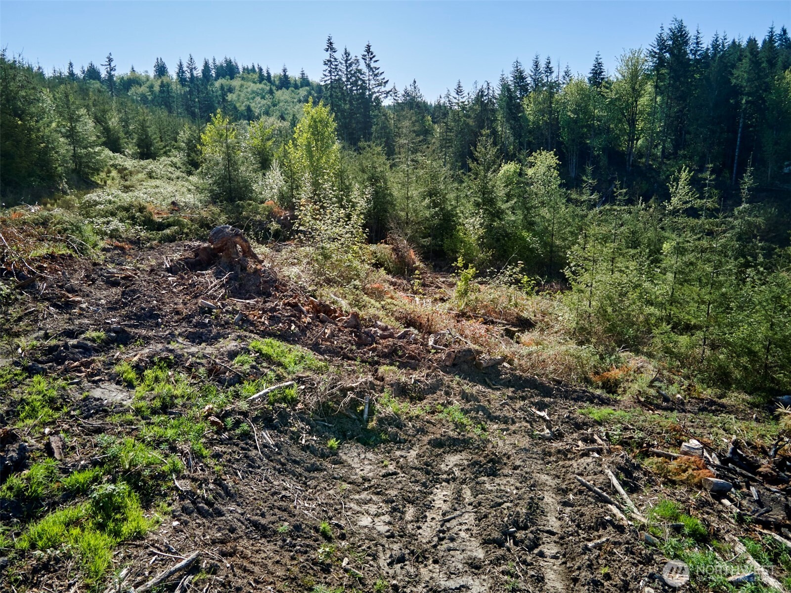 2 Bootjack Lane