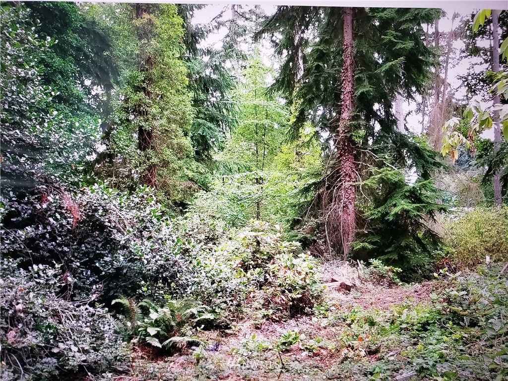 Photo of 317 xx 51st Avenue SW, Federal Way, WA 98023 (MLS # 1812201)