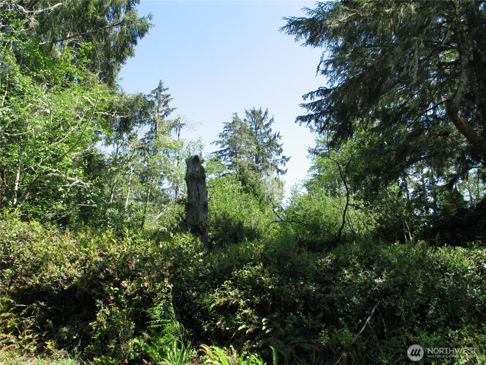 38385 Stackpole Road