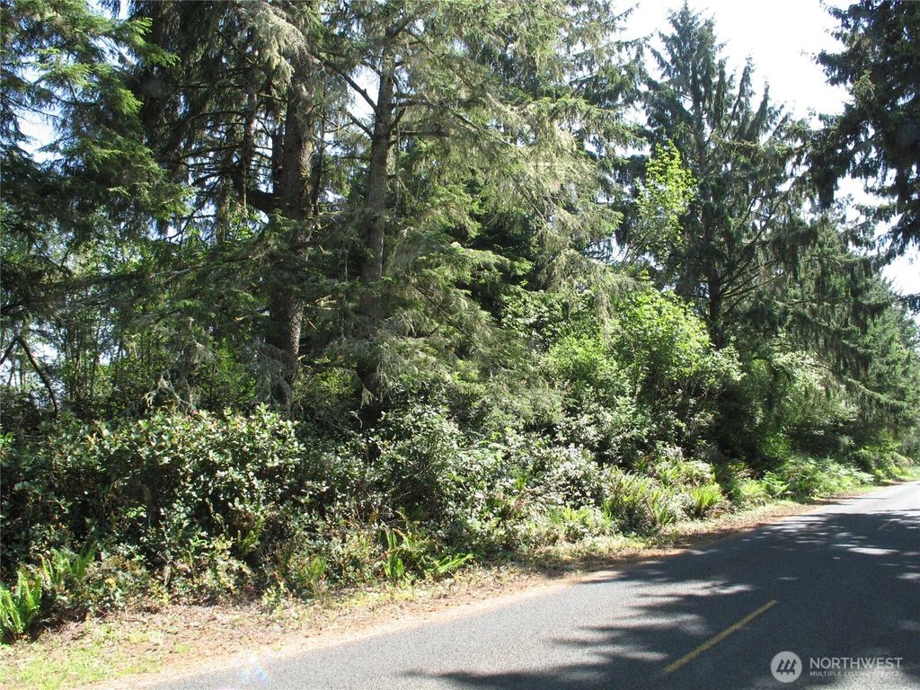 Photo of 38385 Stackpole Road, Oysterville, WA 98641 (MLS # 2460668)