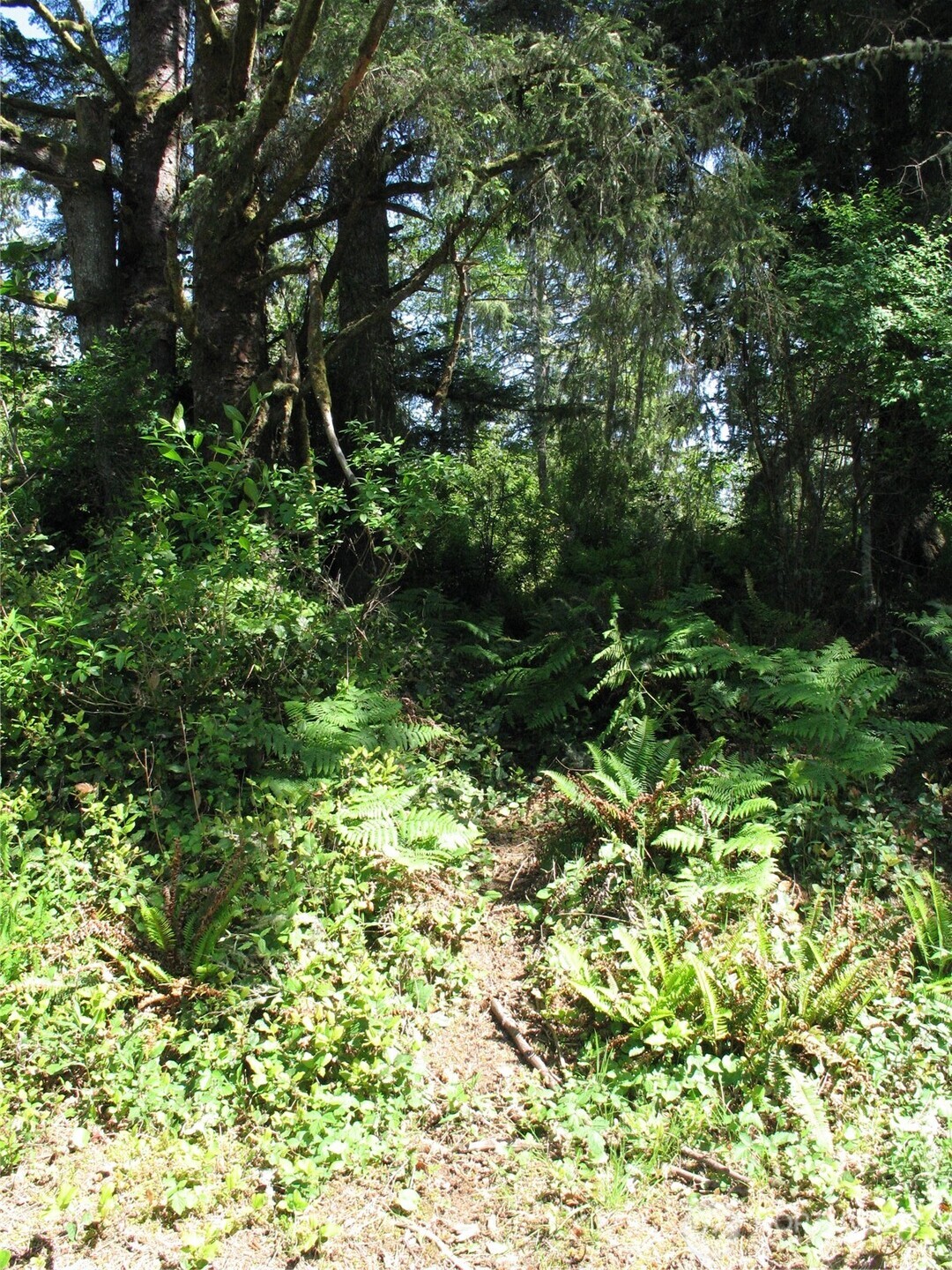 38385 Stackpole Road