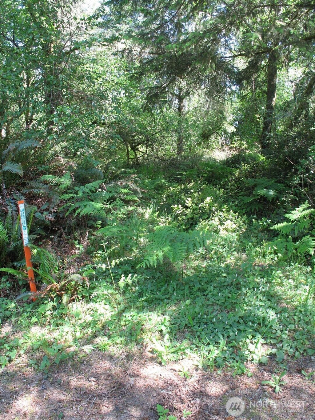Photo of 38385 Stackpole Road, Oysterville, WA 98641 (MLS # 2460668)